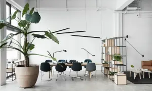 Un bureau moderne avec un grand pot de plantes vertes, une table de conférence, des chaises élégantes et une étagère remplie de plantes, le tout dans un design d'espace ouvert.