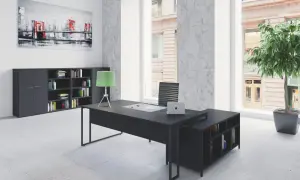 Aménagement bureau direction : bureau noir moderne, étagères remplies de livres, tableau abstrait de pont, plante verte.