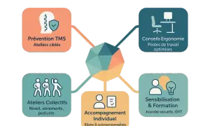 Schéma des services pour un poste de travail ergonomique dans l'industrie : prévention TMS, conseils ergonomie, ateliers collectifs, accompagnement individuel, sensibilisation & formation.