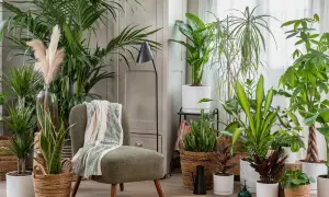 Un fauteuil confortable entouré de plantes luxuriantes, une belle idée déco coin salon pour une ambiance tropicale et apaisante.