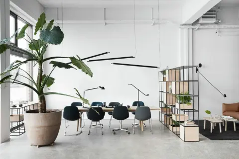 Un bureau moderne avec un grand pot de plantes vertes, une table de conférence, des chaises élégantes et une étagère remplie de plantes, le tout dans un design d'espace ouvert.