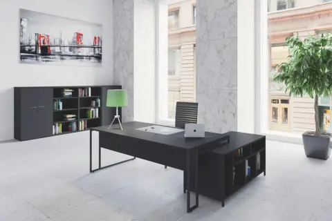 Aménagement bureau direction : bureau noir moderne, étagères remplies de livres, tableau abstrait de pont, plante verte.