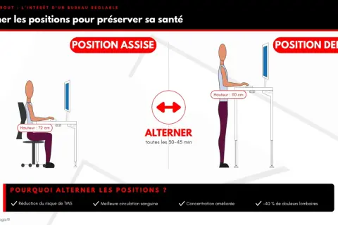 Illustration comparant la position assise (hauteur 72 cm) et la position debout (hauteur 110 cm) à un bureau réglable. Alterner les positions est bénéfique pour la santé.