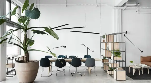 Un bureau moderne avec un grand pot de plantes vertes, une table de conférence, des chaises élégantes et une étagère remplie de plantes, le tout dans un design d'espace ouvert.