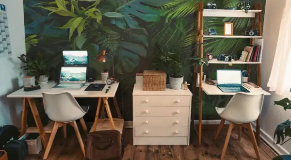 Un bureau chaleureux avec un mur végétal luxuriant, deux postes de travail équipés d'ordinateurs portables, des étagères remplies d'objets décoratifs et de livres, le tout sur un parquet en bois.