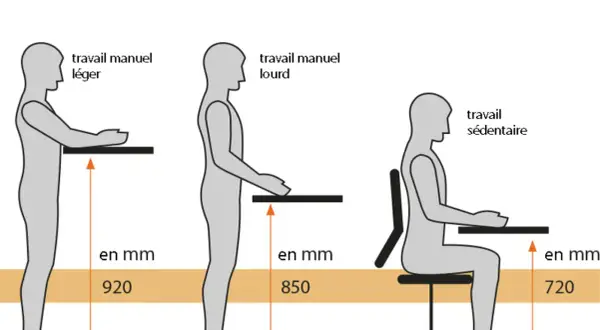 Diagramme illustrant l'ergonomie du poste de travail industriel : hauteurs idéales pour travail léger, lourd et sédentaire.