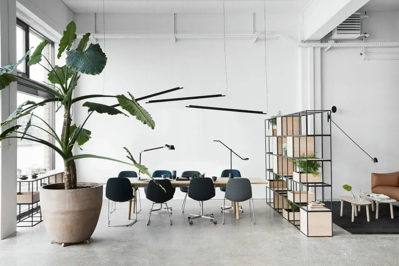 Un bureau moderne avec un grand pot de plantes vertes, une table de conférence, des chaises élégantes et une étagère remplie de plantes, le tout dans un design d'espace ouvert.