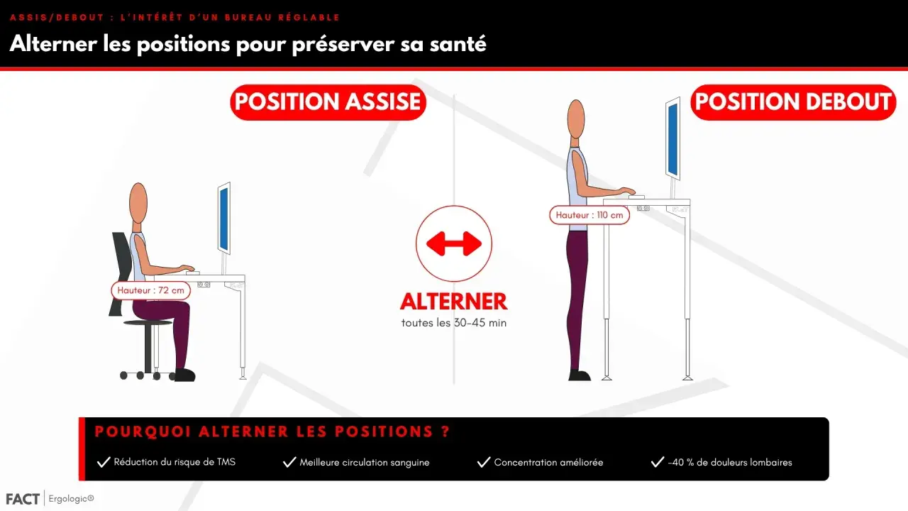 Illustration comparant la position assise (hauteur 72 cm) et la position debout (hauteur 110 cm) à un bureau réglable. Alterner les positions est bénéfique pour la santé.