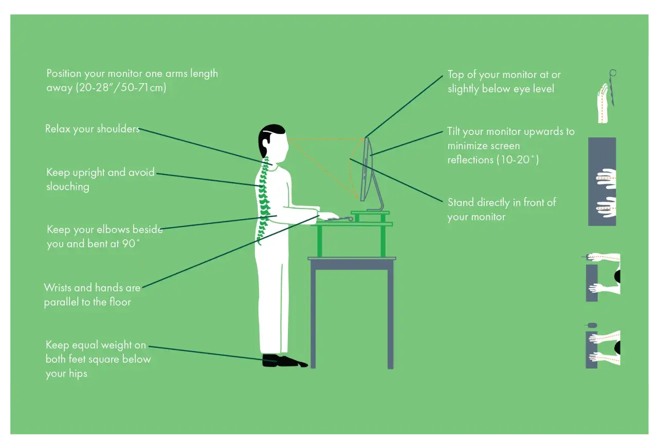 Conseils pour la bonne hauteur bureau debout : posture, écran, bras, poignets et pieds alignés pour un confort optimal.