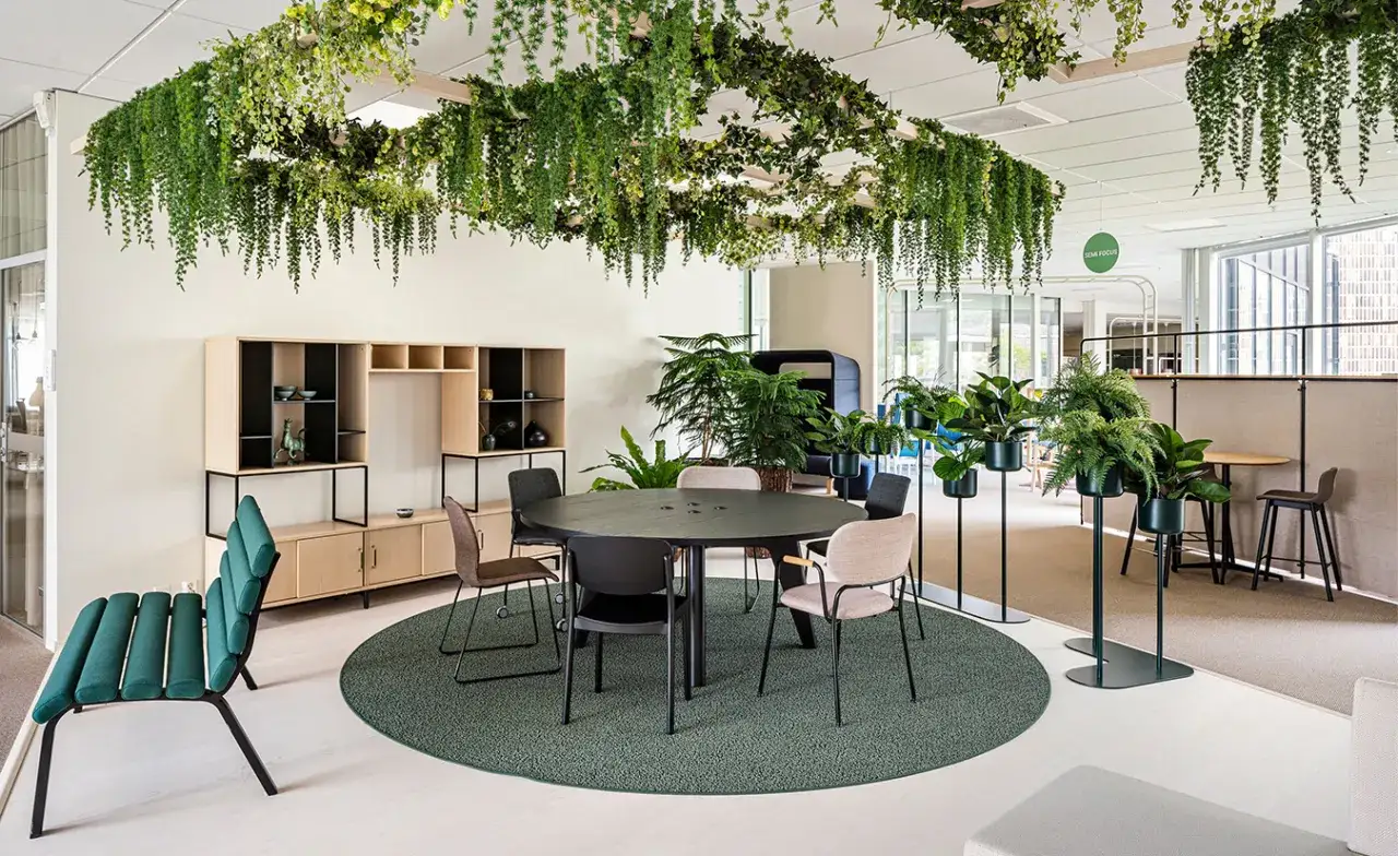 Espace de bureau lumineux avec de nombreuses plantes vertes suspendues et en pots, illustrant le design r&eacute;g&eacute;n&eacute;ratif.