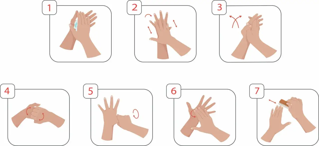 &Eacute;tapes pour savoir quand faut il se laver les mains : savonnage, paume contre paume, doigts entrelac&eacute;s, nettoyage des pouces, nettoyage des bouts des doigts, rin&ccedil;age et s&eacute;chage.