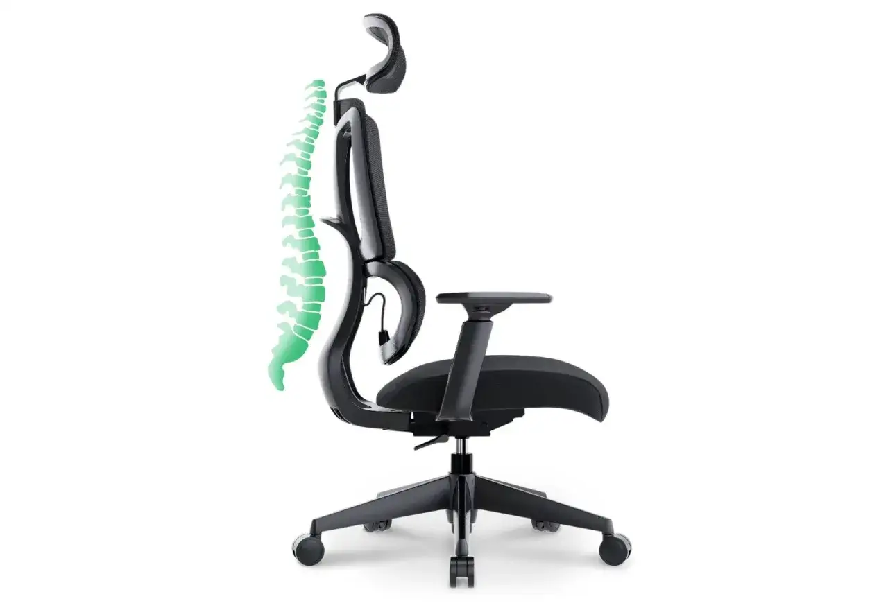 Chaise ergonomique avec support lombaire vert, id&eacute;ale pour pr&eacute;venir la hernie discale travail assis.